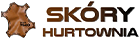 Client Logo Skory Hurtownia